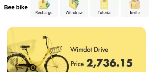 Beebike investment